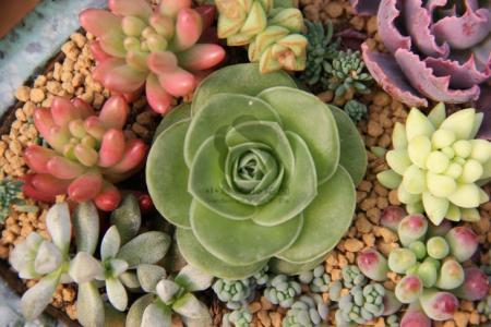 ֱΪʯҵ 㶫Ļᡰ˷硱ת